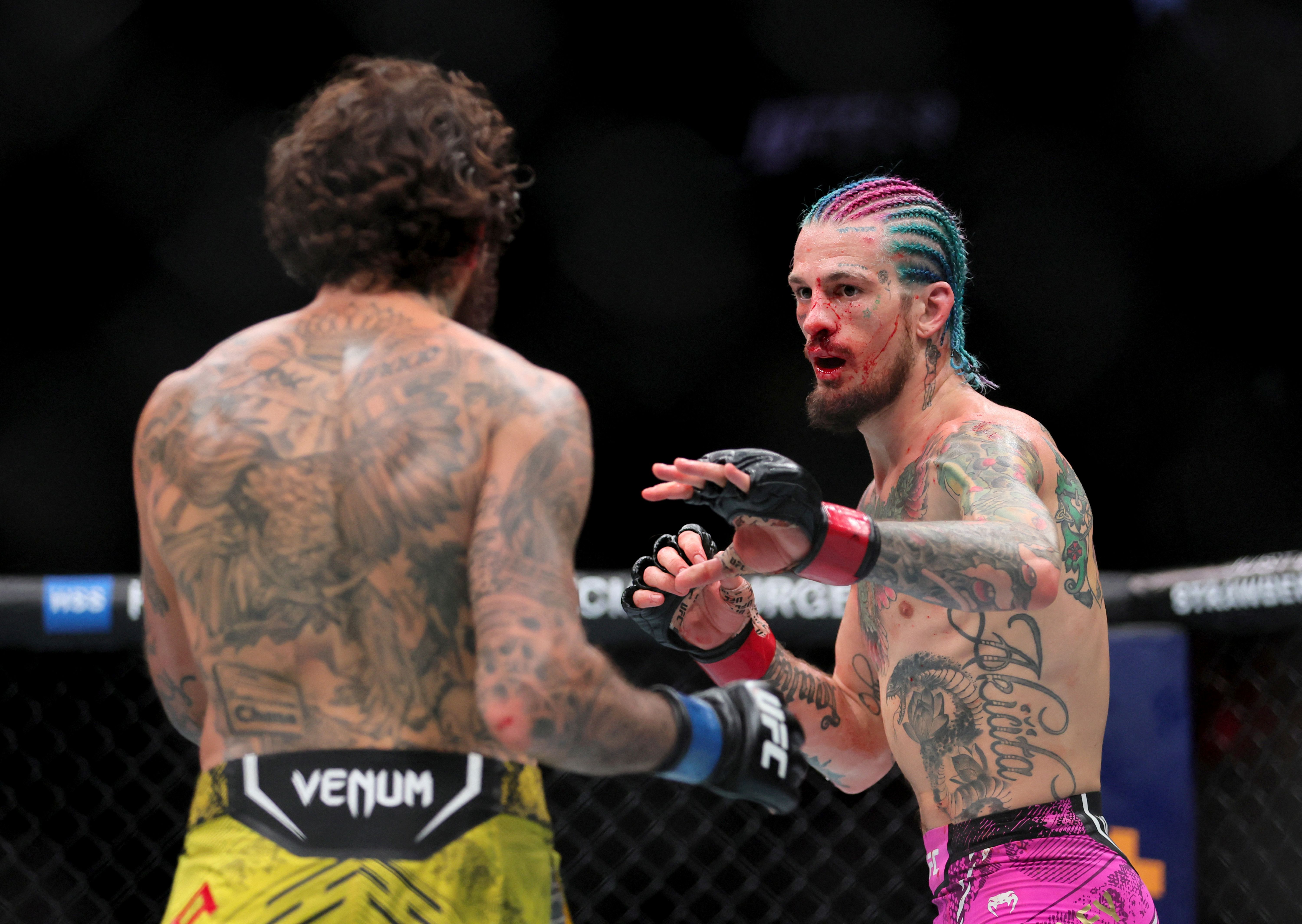 Sean O’Malley squares off in the ring, and he's key as we look at our UFC 324 parlay