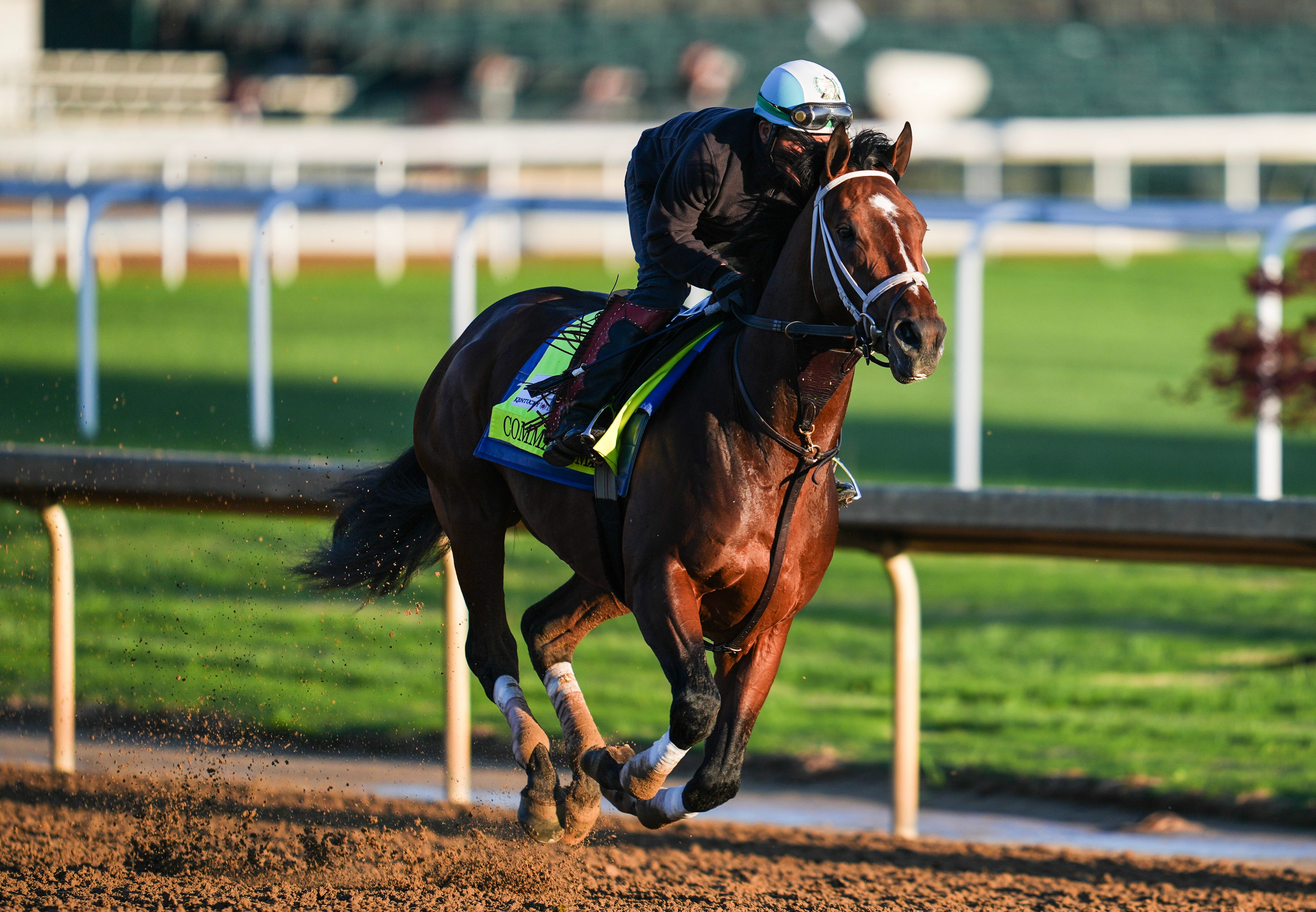 2026 Kentucky Derby contender Commandment works on the track at Churchill Downs.