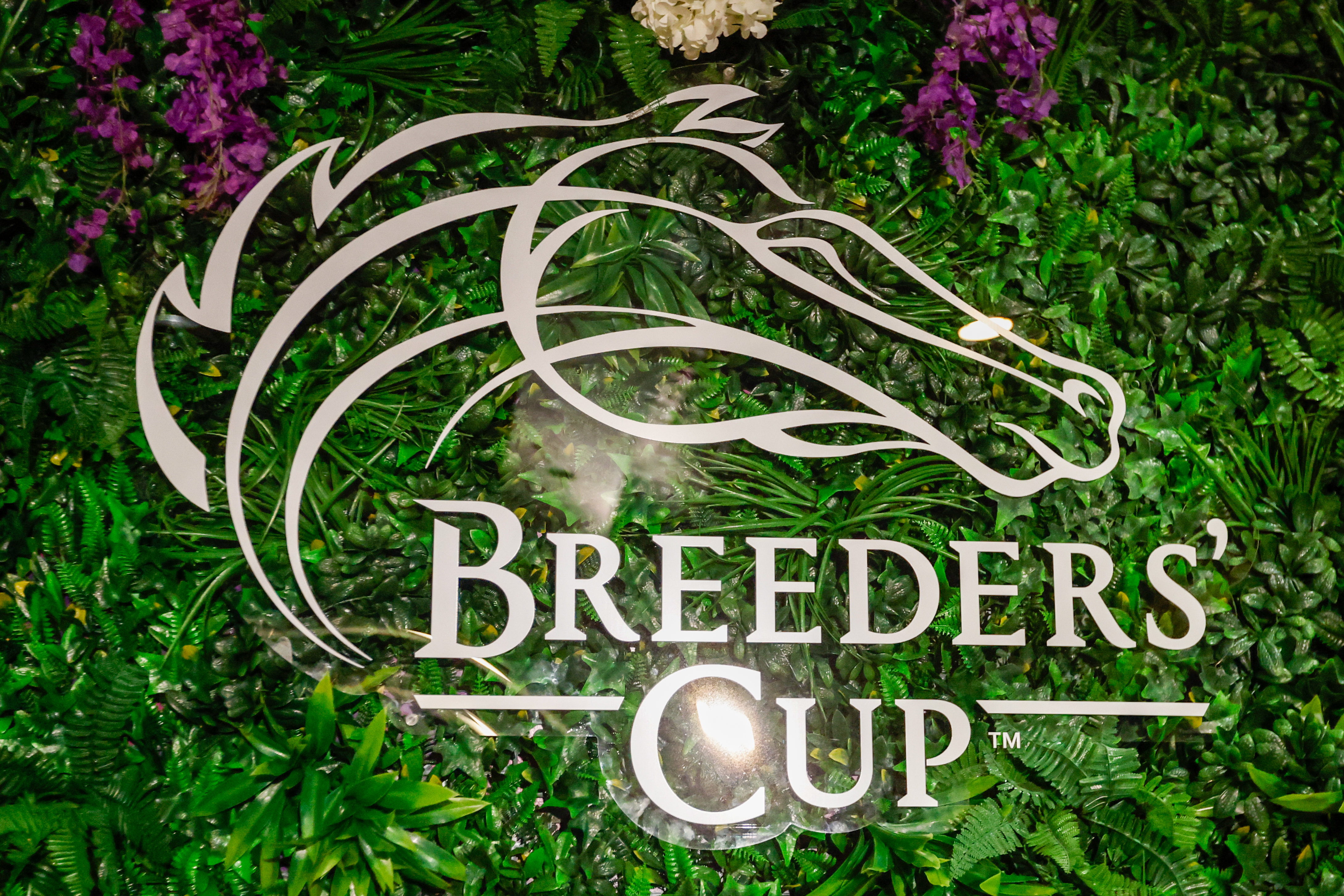 2025 Breeders Cup Championship logos at Del Mar Thoroughbred Club as we look at our Breeders' Cup odds and predictions for Friday