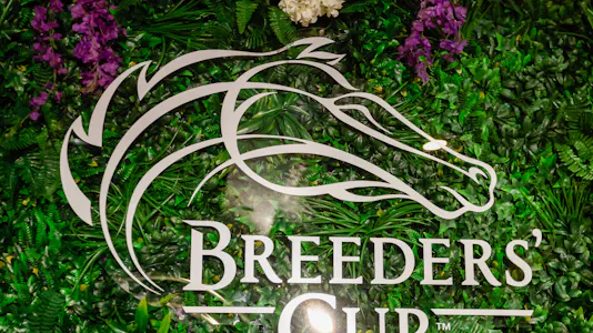 2025 Breeders Cup Championship logos at Del Mar Thoroughbred Club as we look at our Breeders' Cup odds and predictions for Friday