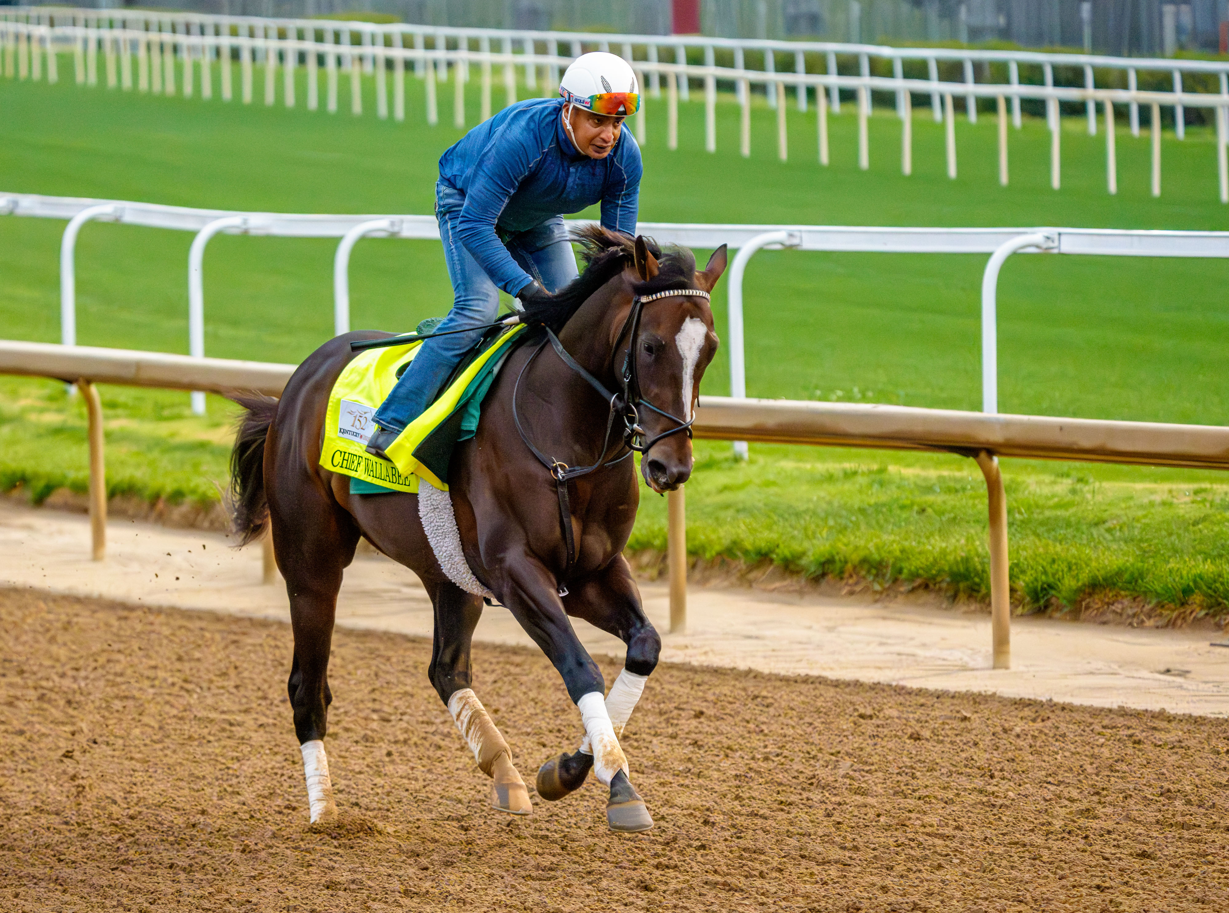 Chief Wallabee, trained by Bill Mott, exercises as horses prepare for the Kentucky Derby as we break down our Why Chief Wallabee will win Kentucky Derby.