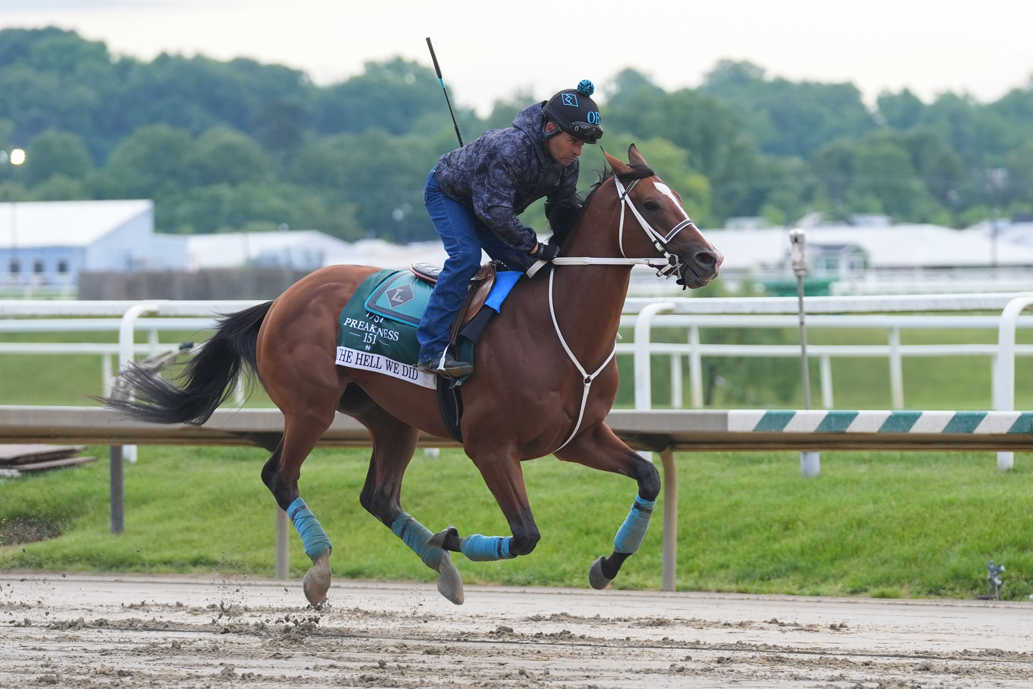 🏇 Preakness Stakes Betting Trends 2026: Betting Strategies for Laurel Park