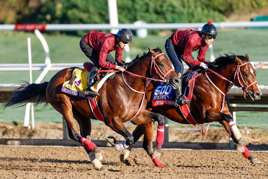 Forever Young trains with American Stage ahead of the 2025 Breeders' Cup Championship at Del Mar Thoroughbred Club as we make our Breeders' Cup predictions for Saturday