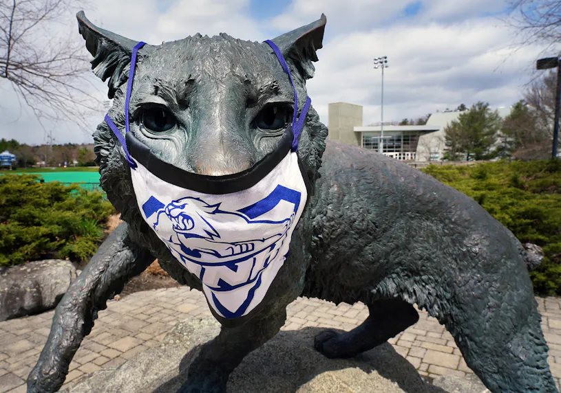 The University of New Hampshire Wildcat sculpture as we look at the New Hampshire sports betting financials for June 2024.