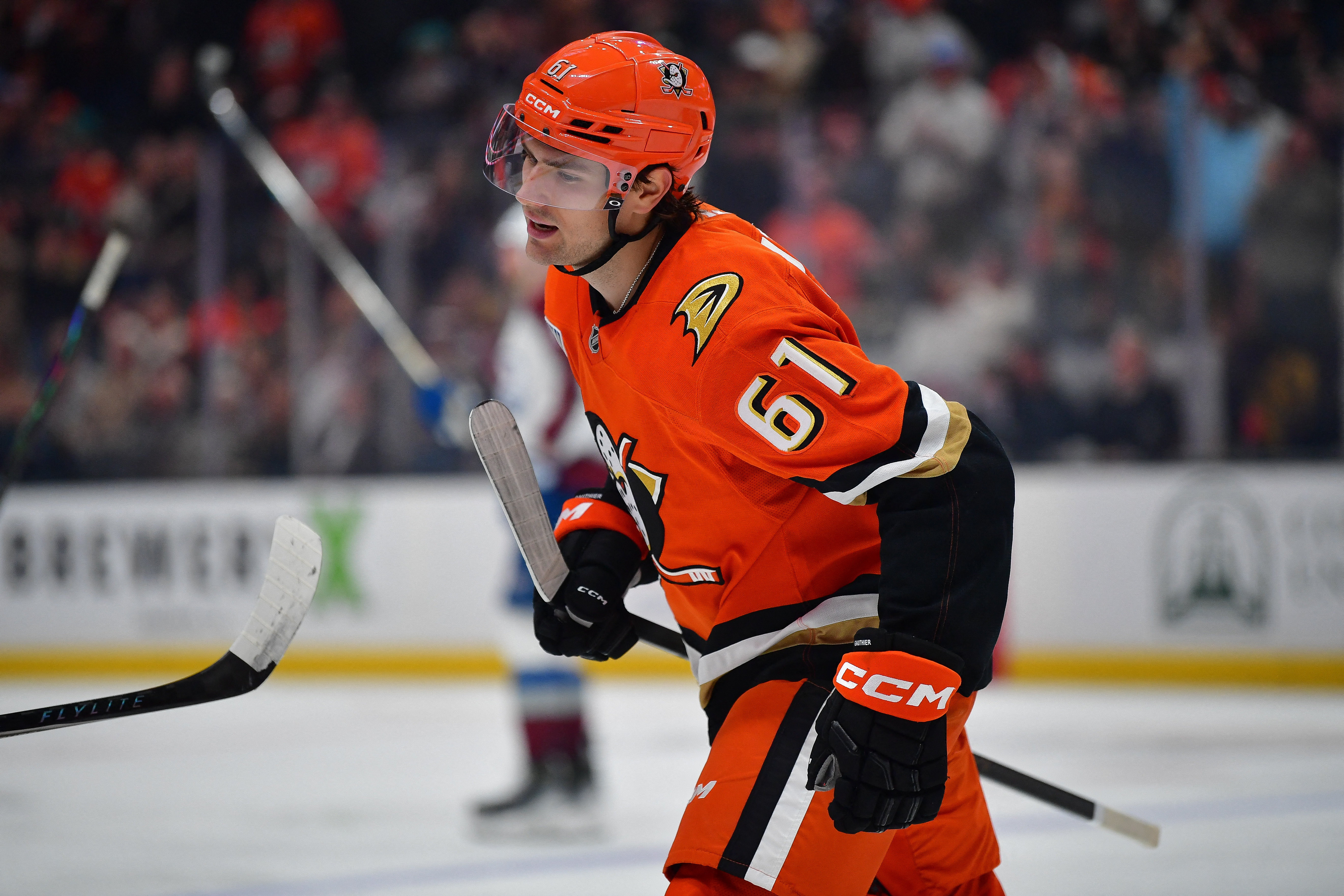  Anaheim Ducks left wing Cutter Gauthier - who's featured in my anytime goal scorer predictions - celebrates his goal.