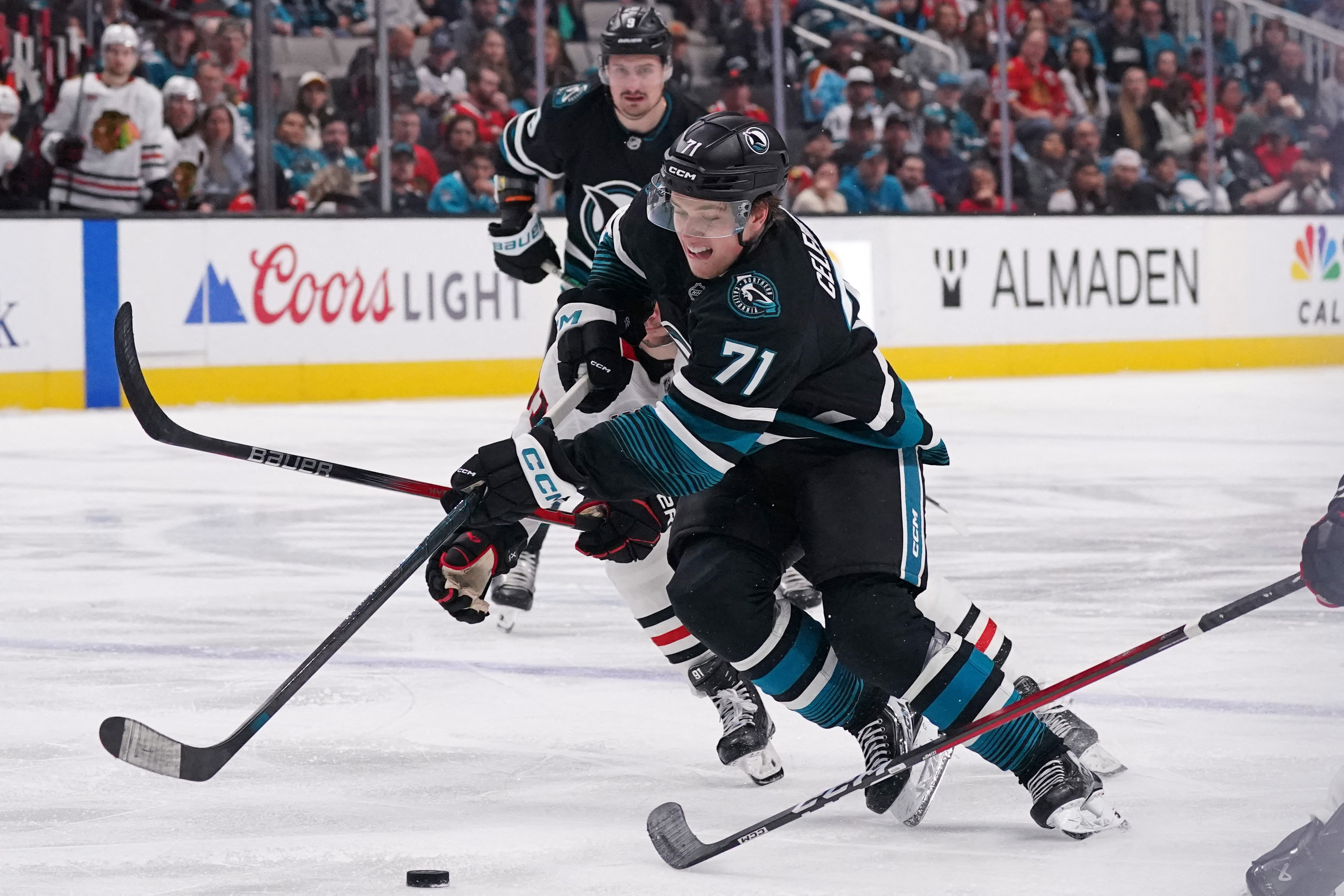 Macklin Celebrini in action as we provide our Oilers vs. Sharks prediction. 