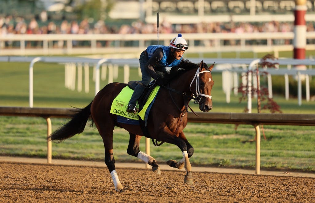 Catching Freedom runs on the track during the morning training as we make our Kentucky Derby picks and predictions.