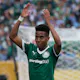 Palmeiras vs. Botafogo Prediction, Picks & Odds for FIFA Club World Cup: Saturday, June 28