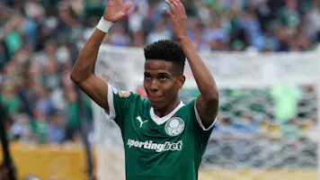 Palmeiras vs. Botafogo Prediction, Picks & Odds for FIFA Club World Cup: Saturday, June 28