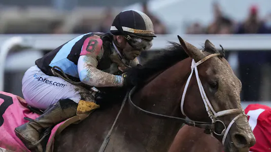 Preakness Stakes Odds, Post Position & Favorites 2025: Who’s Favored to Win at Pimlico Race Course?