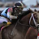 Preakness Stakes Odds, Post Position & Favorites 2025: Who’s Favored to Win at Pimlico Race Course?