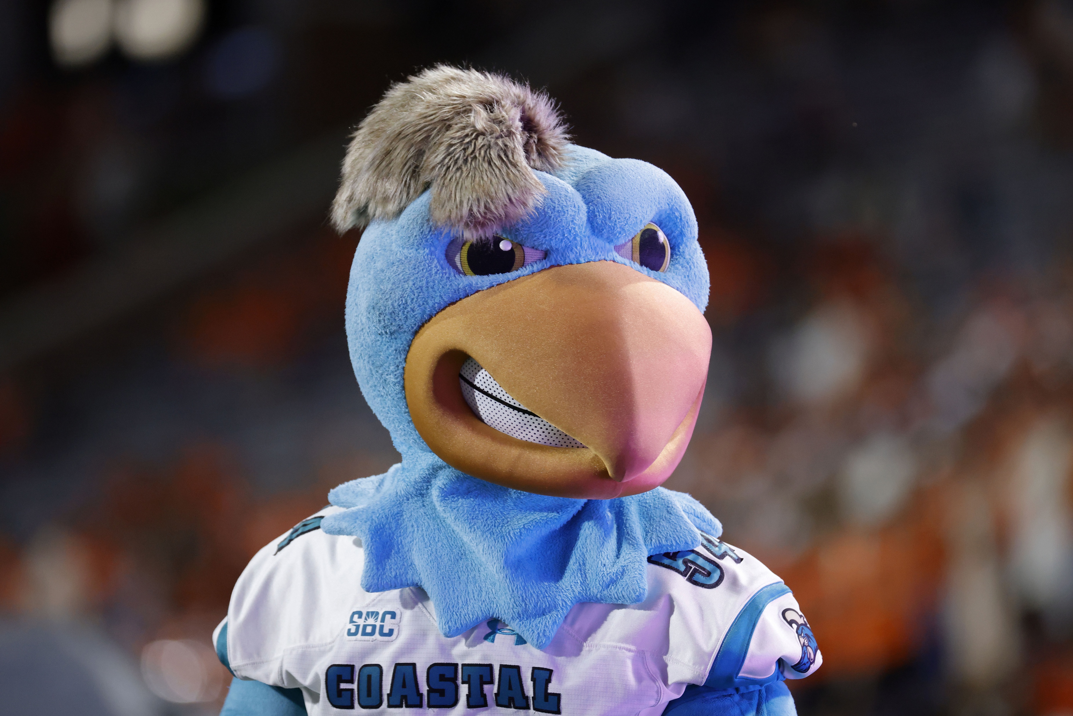 Marshall vs. Coastal Carolina Prediction: Tonight's College Football Week 10 Betting Preview