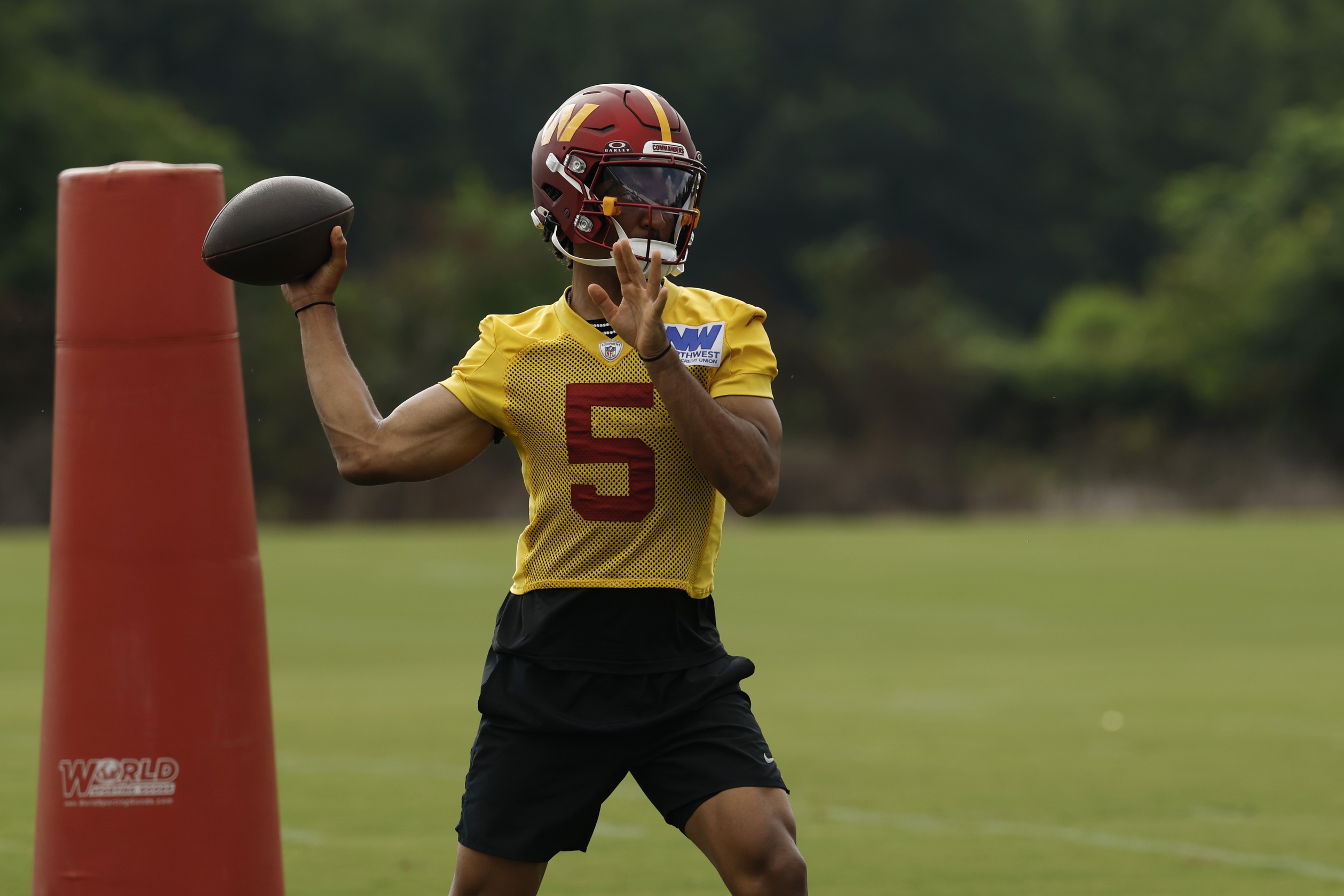 NFL Playoff Odds 2025: Best Bets to Make Postseason 