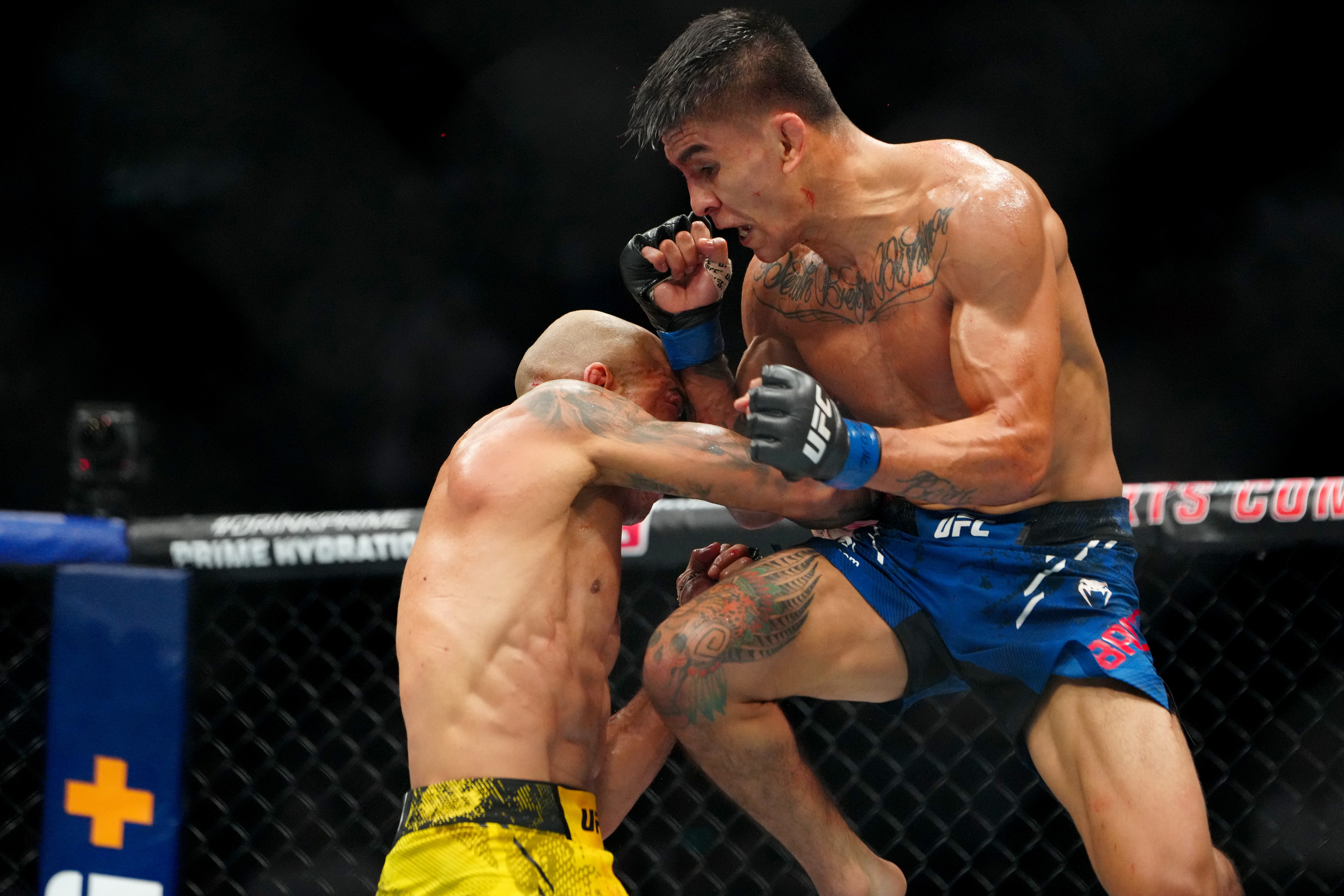 Mario Bautista fights as we look at the best live UFC Fight Night: Bautista vs. Oliveira odds. 