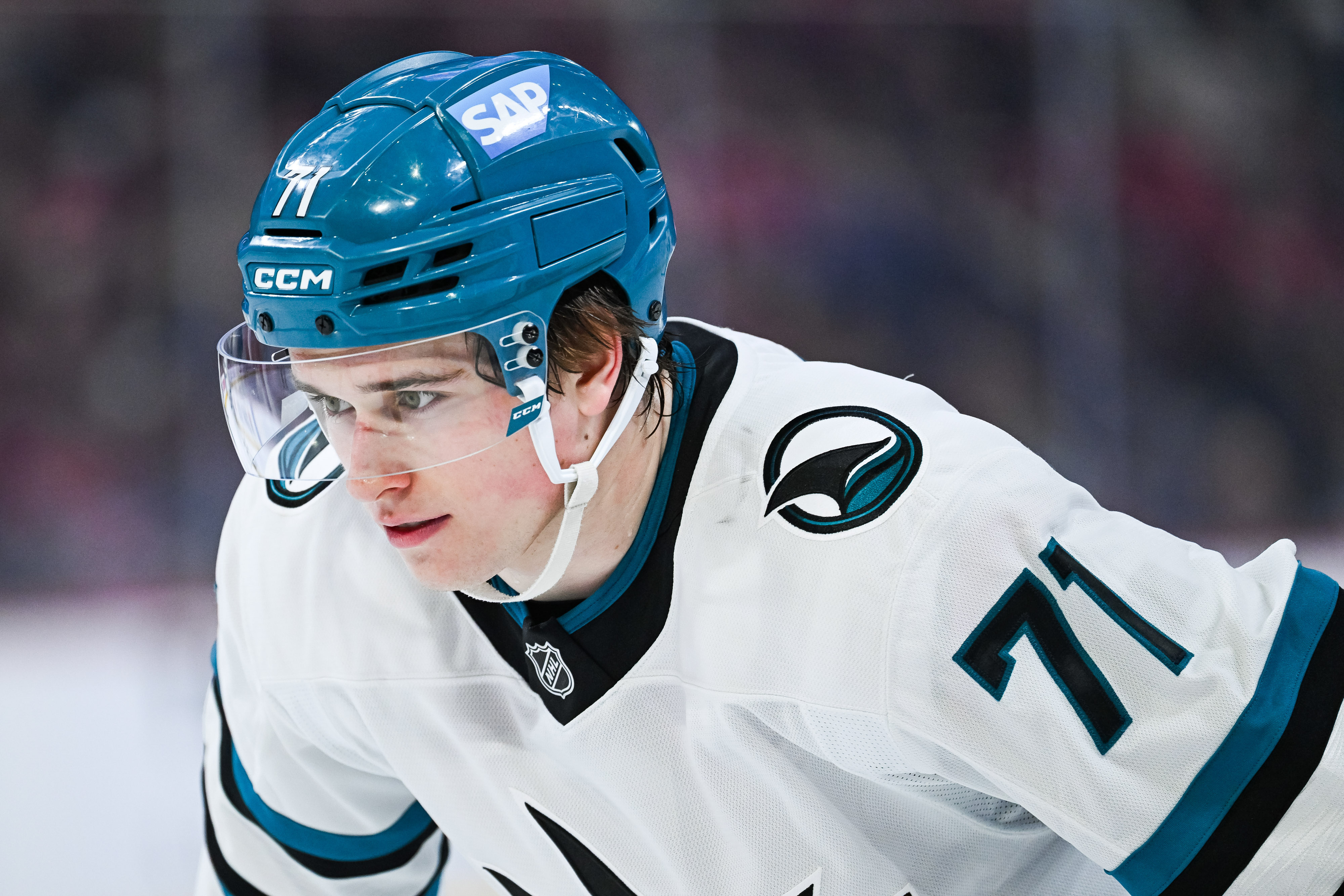 San Jose Sharks center Macklin Celebrini - who's featured in my anytime goal scorer predictions - looks on. 