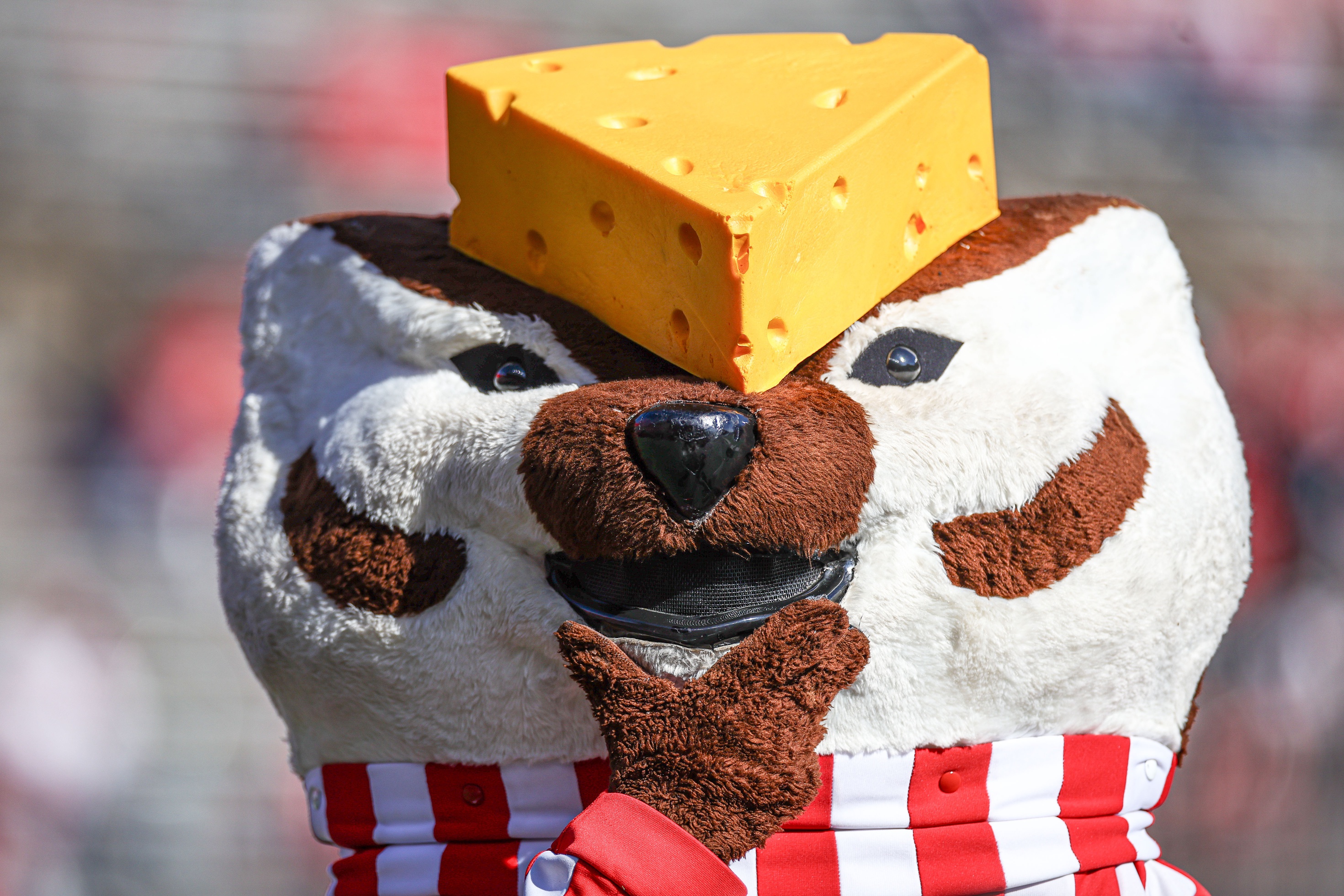Wisconsin Badgers mascot, Bucky Badger, wears a chess head hat during the second half against the Rutgers Scarlet Knights at SHI Stadium.