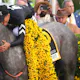 Preakness post positions