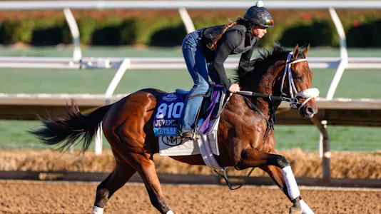 Let's Be Frank trains ahead of the 2025 Breeders' Cup Championship at Del Mar Thoroughbred Club as we look at the Breeders' Cup odds and best predictions