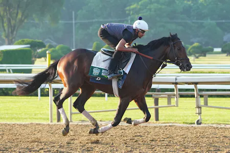Belmont stakes contender Sierra Leone trains Wednesday morning as we look at our best free Belmont Stakes picks.