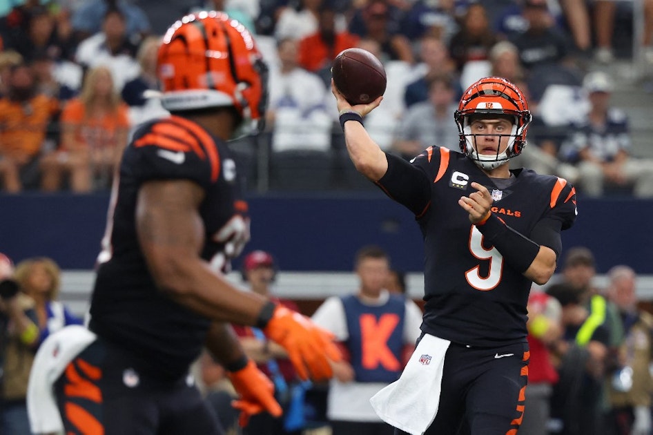 2023 AFC North Predictions with Betting Odds and Expert Analysis