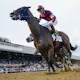Belmont Stakes Odds and Betting Favorites
