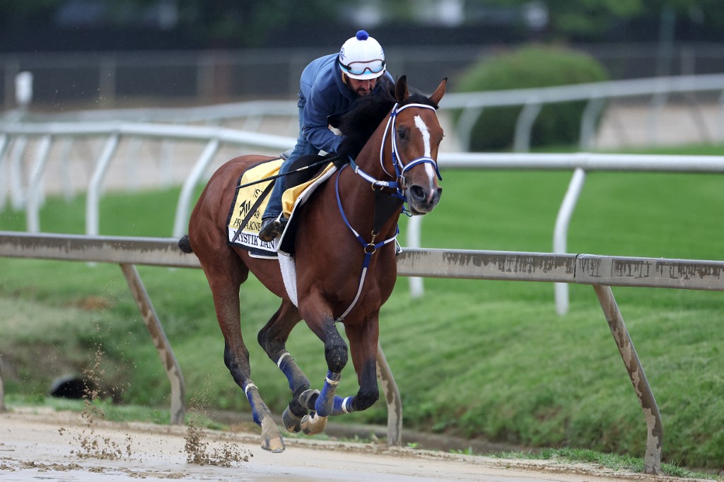 Today's FanDuel Racing Preakness Stakes Promo Code: Up To $520 In Bonus ...