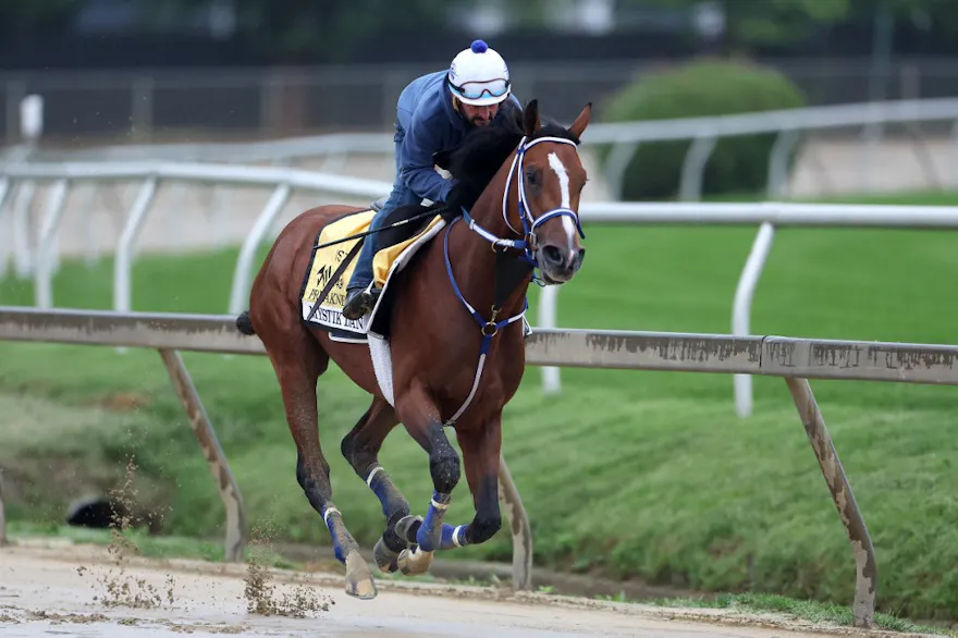 Exercise rider Robby Albarado takes Kentucky Derby winner Mystik Dan as we look at our FanDuel Racing Preakness Stakes promo code