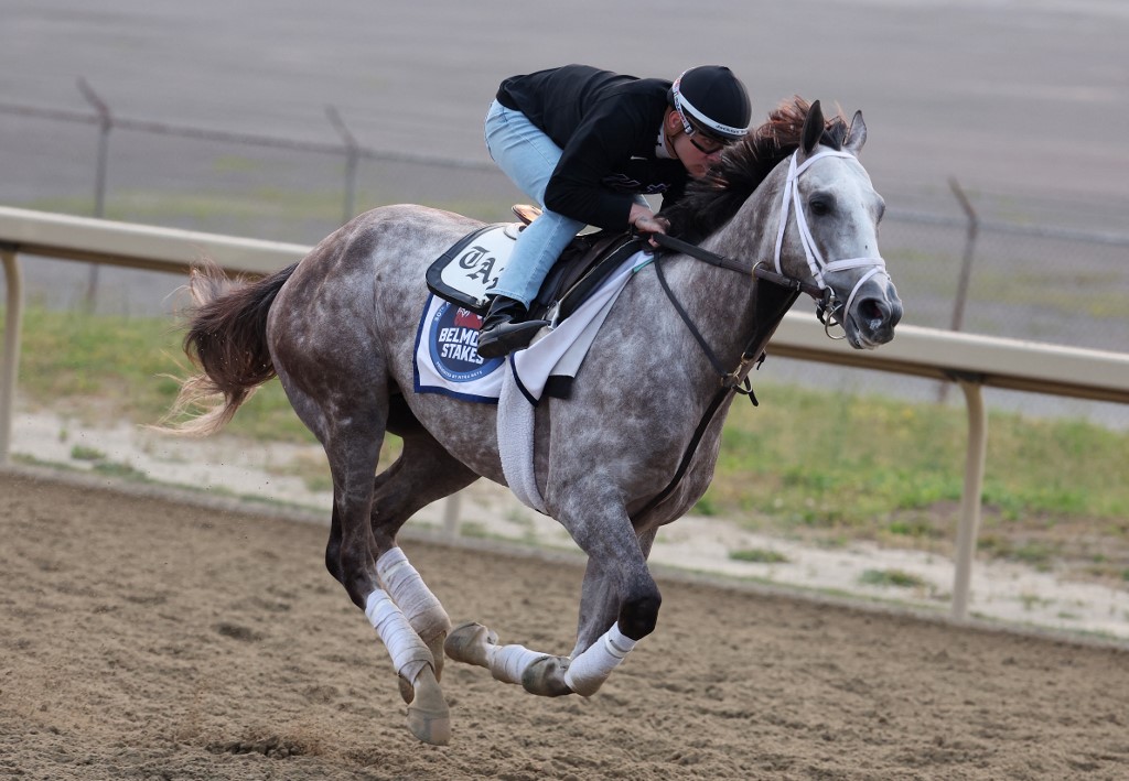 Belmont Stakes Predictions, Expert Picks, & Exotic Wagers