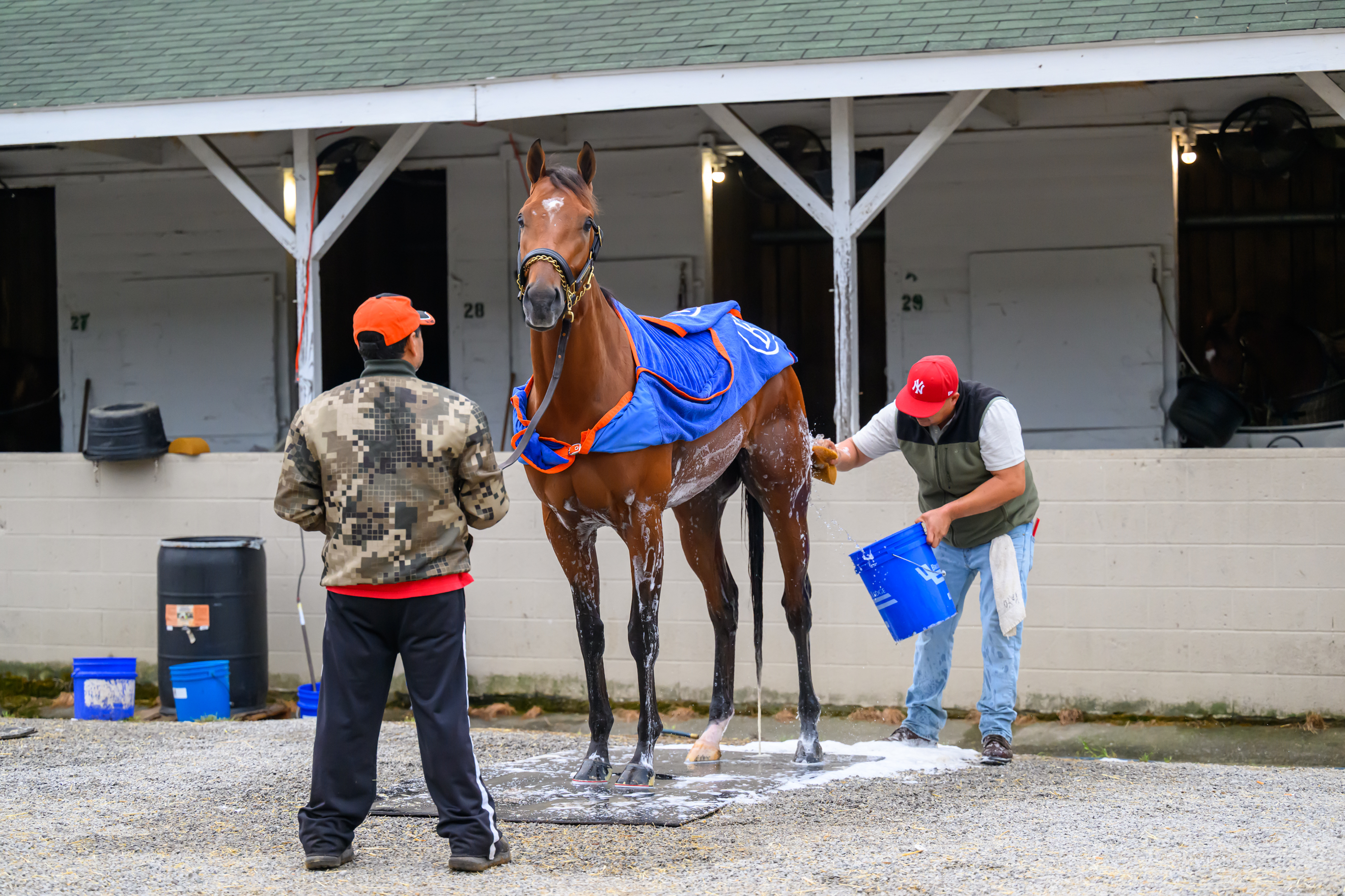 Renegade prepare for the Kentucky Derby and Kentucky Oaks at Churchill Downs in Louisville, Kentucky.