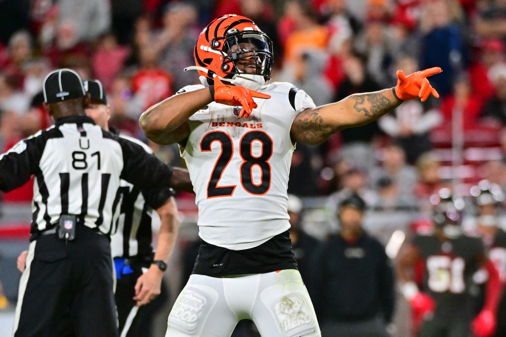 What channel is Cincinnati Bengals game today? (1/2/2023) FREE LIVE STREAM,  Time, TV vs. Bills