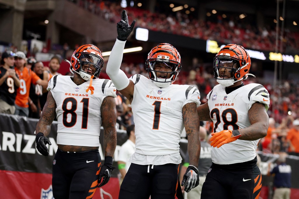 Bills vs. Bengals Predictions, Picks & Odds Week 9 SNF