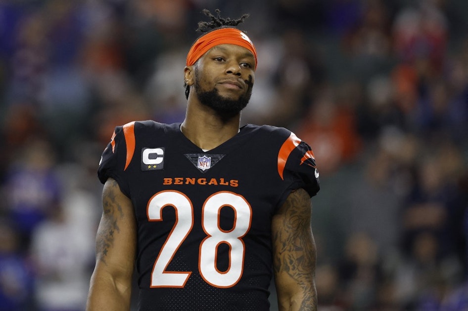 Ravens vs Bengals Predictions, Betting Odds, Line & Spread