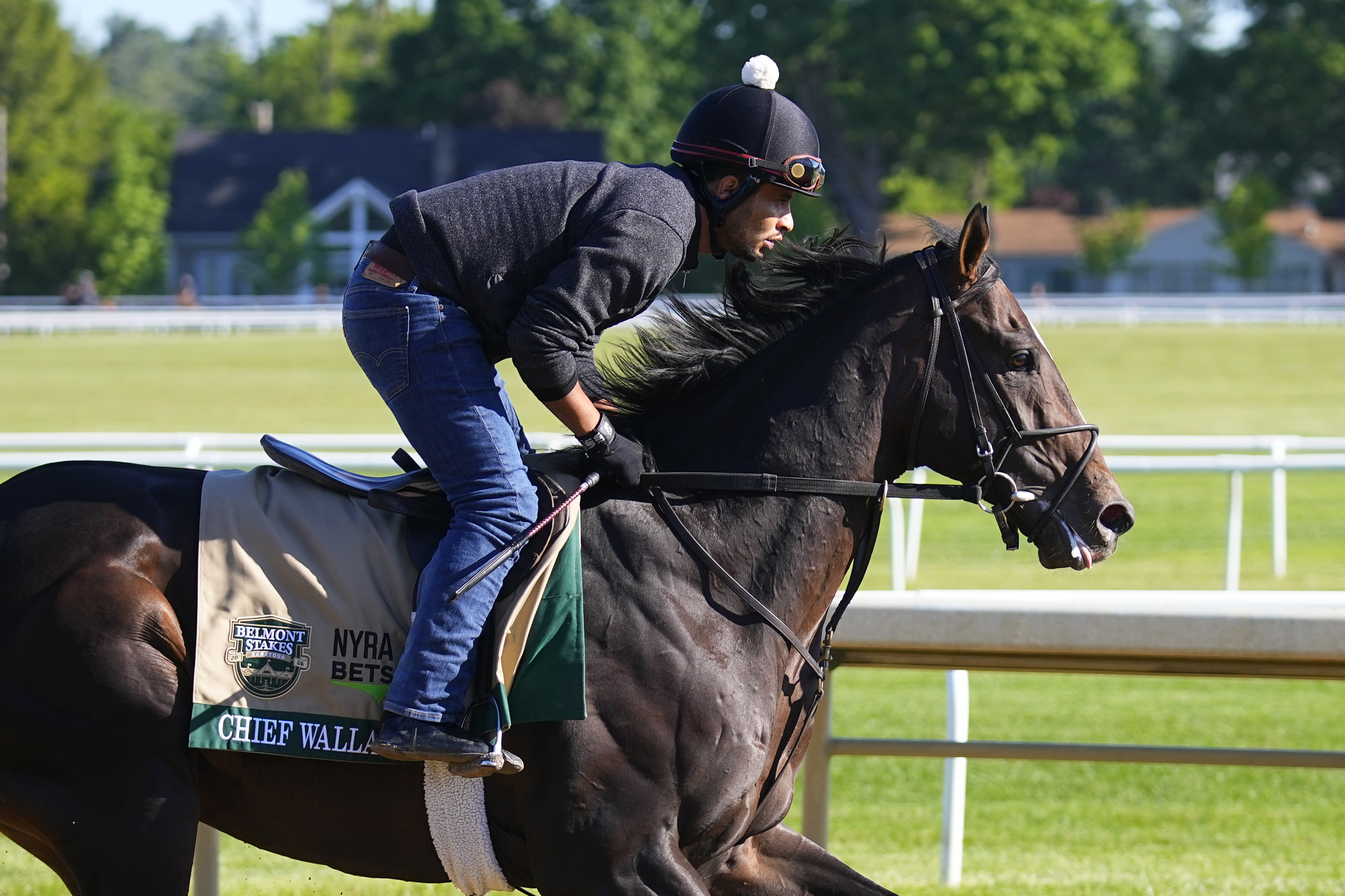 Chief Wallabee trains as he is featured in our Belmont Stakes picks.