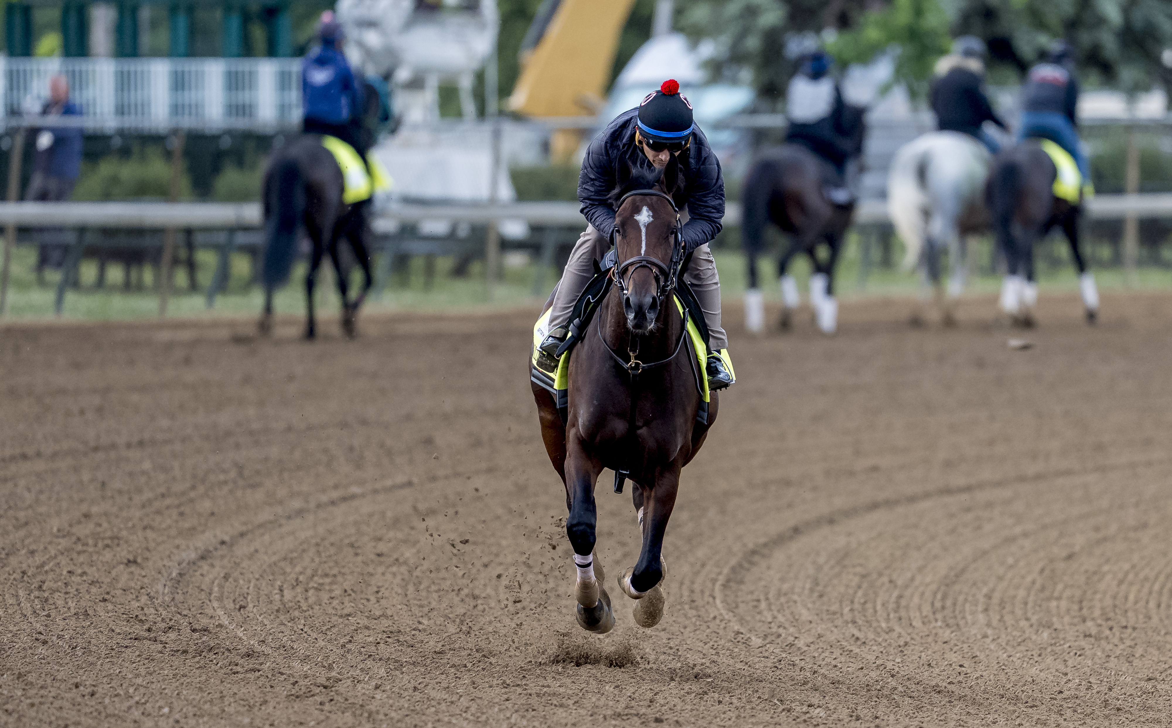 Golden Tempo, trained by Cherie DeVaux, exercises as horses prepare for the Kentucky Derby and Kentucky Oaks at Churchill Downs in Louisville, Kentucky.