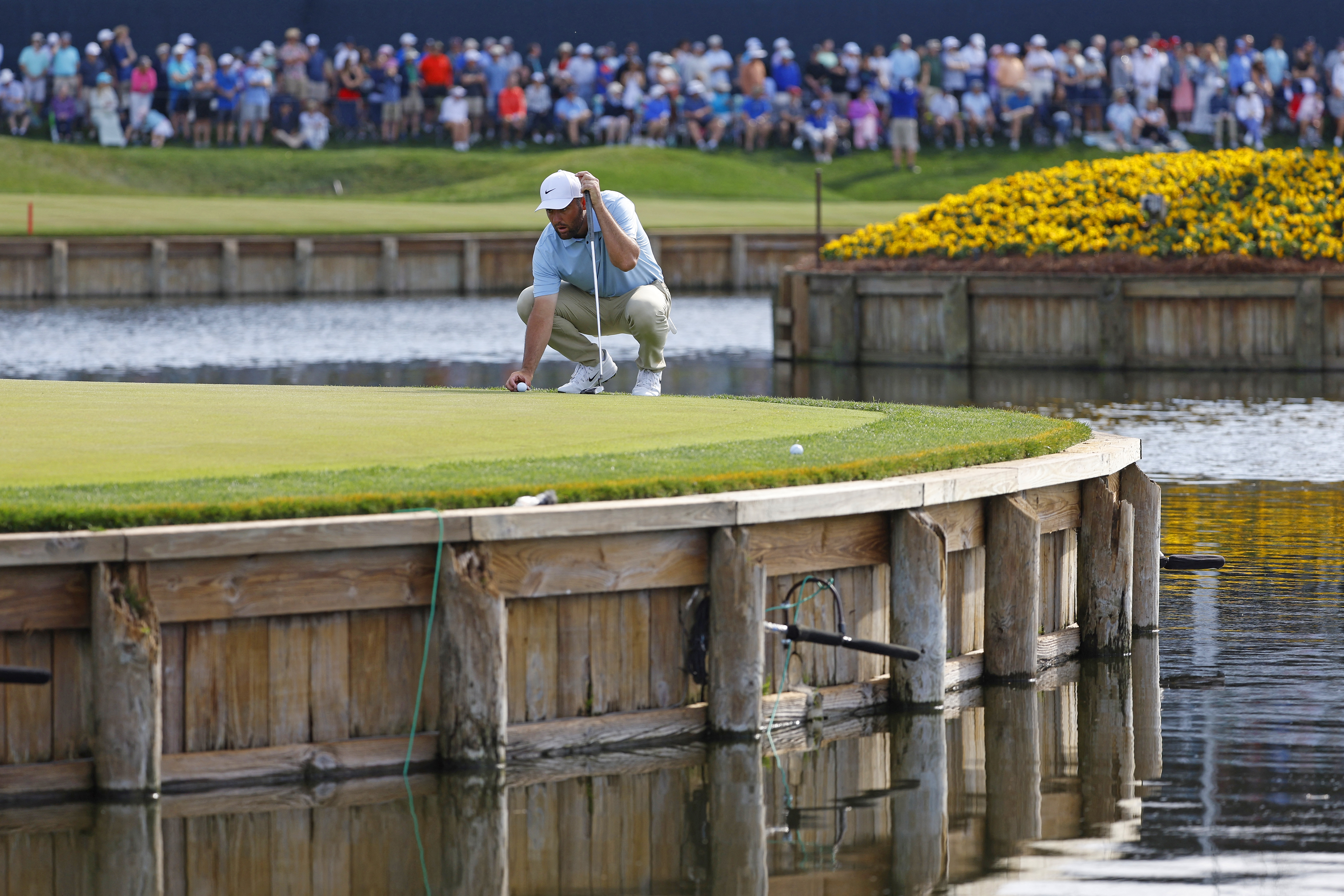 ⛳ Updated Players Championship Odds 2026: Scheffler Leads Way to TPC Sawgrass