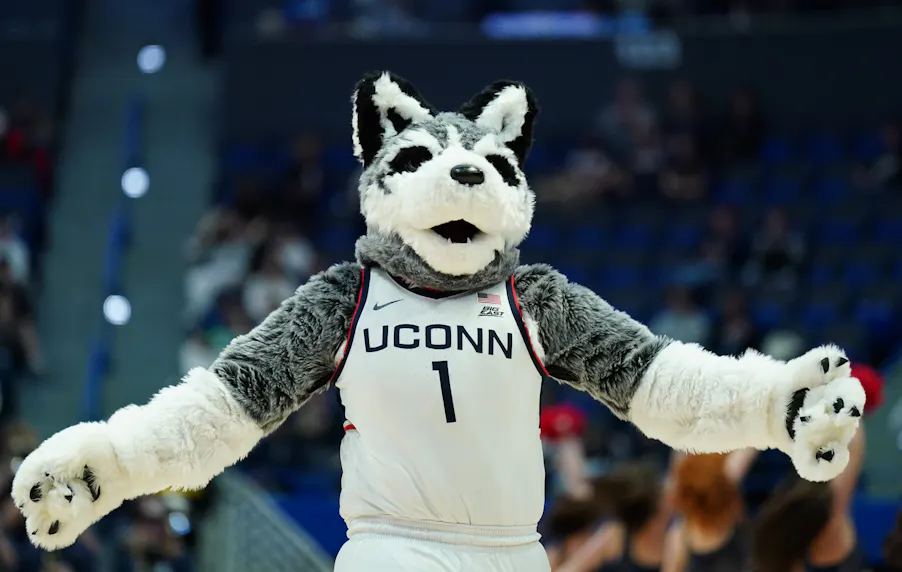 UConn Huskies mascot on the court during a break in the action as we look at Connecticut's July sports betting financials.