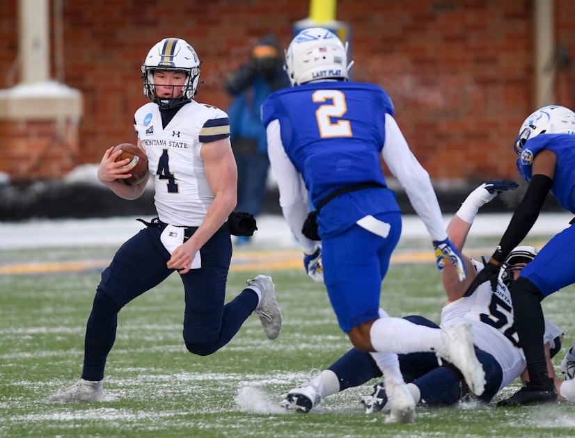 North Dakota State vs. Montana State Prediction & Picks Tonight FCS