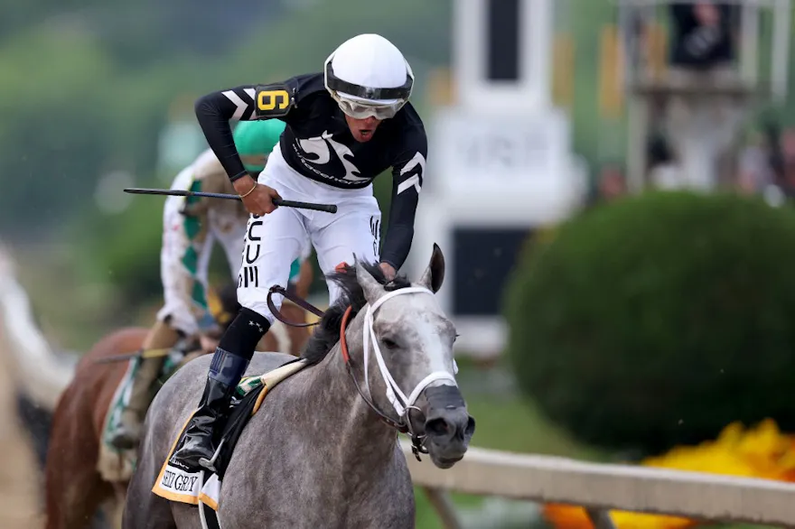 Jockey Jaime Torres celebrates after riding Seize the Grey to win the 149th running of the Preakness Stakes at Pimlico Race Course as we look at the Preakness Stakes odds.