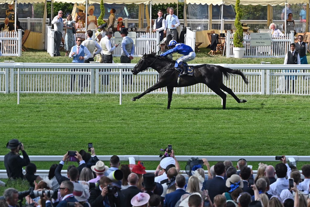 Jockey Jim Crowley rides Mostahdaf to win as we look at the best Breeders