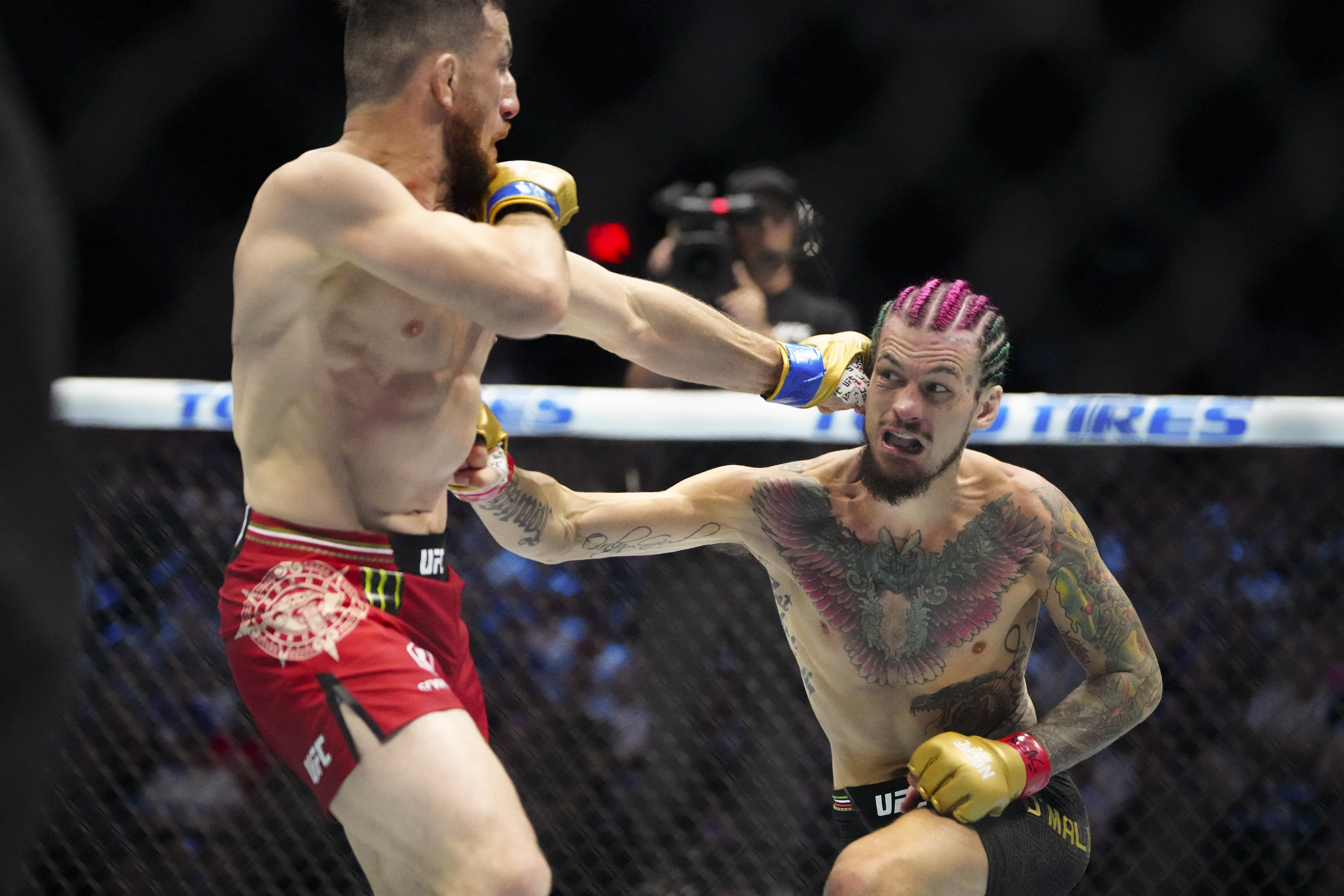 Sean O’Malley fights as we look at the best Sean O'Malley vs. Song Yadong odds and predictions.