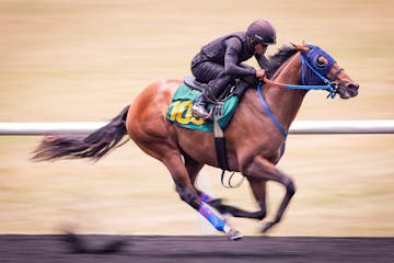 OLG and Woodbine Partner in Online Horse Racing Deal