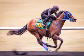 OLG and Woodbine Partner in Online Horse Racing Deal