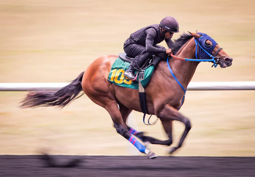 OLG and Woodbine Partner in Online Horse Racing Deal
