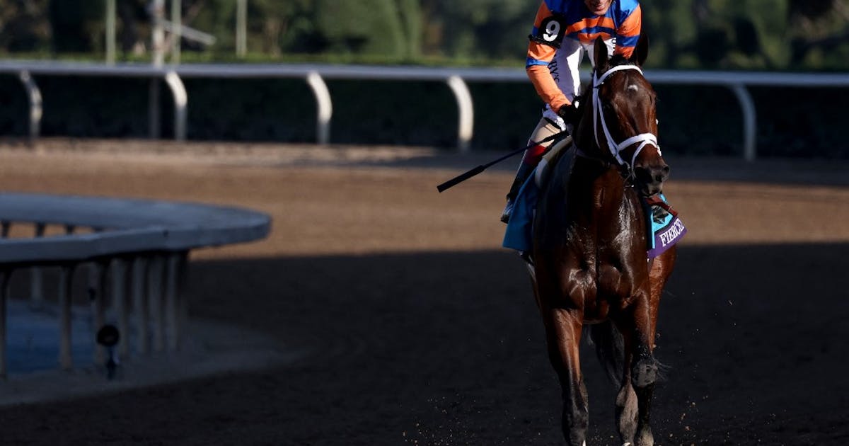 2025 Kentucky Derby Odds & Betting Favorites Early Betting Lines for