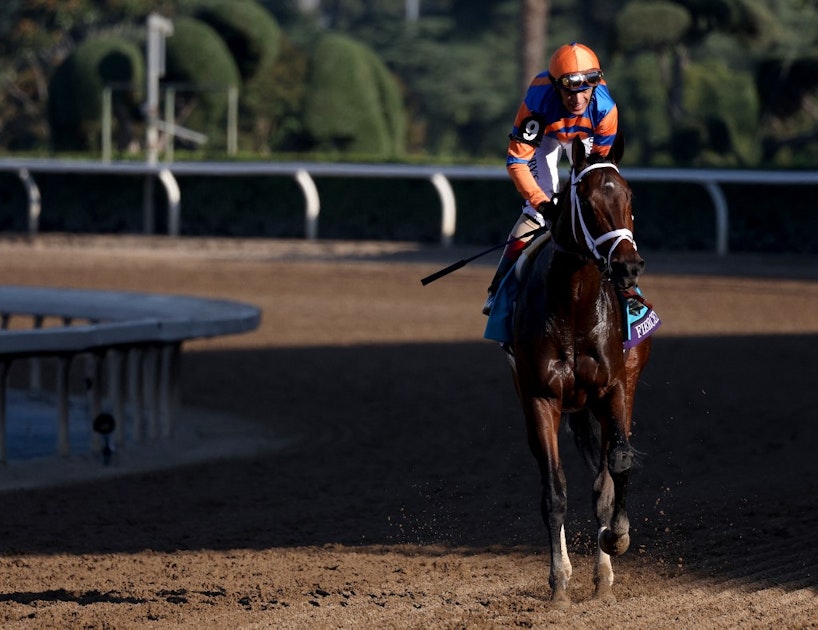 2025 Kentucky Derby Odds & Betting Favorites Early Betting Lines for