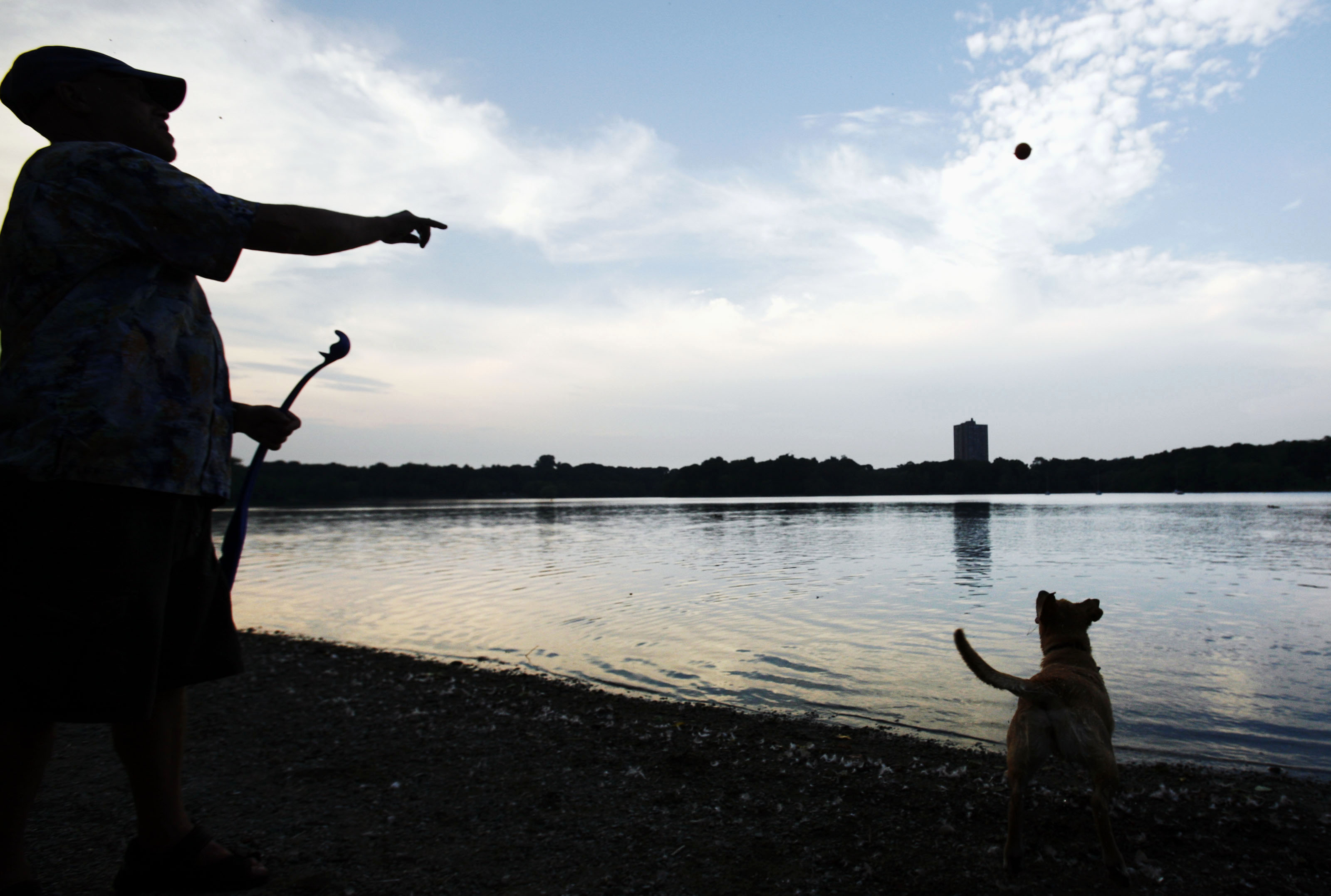 Bob Schwartz throws a ball into Jamaica Pond for his dog Sasha to catch.