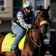 Kentucky Derby Long Shots