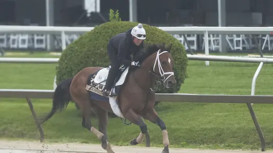 Free Preakness Stakes Picks & Predictions 2025: Expert Picks and Best Bet to Win