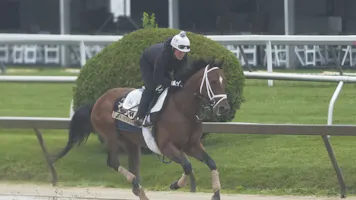 Free Preakness Stakes Picks & Predictions 2025: Expert Picks and Best Bet to Win