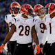 The Cincinnati Bengals are a popular pick in our NFL best record picks.